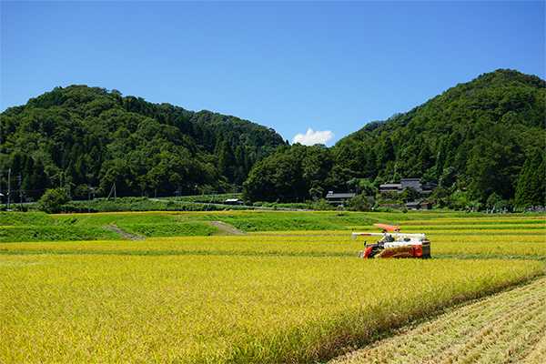 京丹後市・山間部の風景